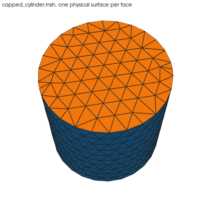 A capped cylinder meshed by a pipeline's MeshCadSurface step, written to Gmsh 4.1 and read back: one physical surface per CAD face